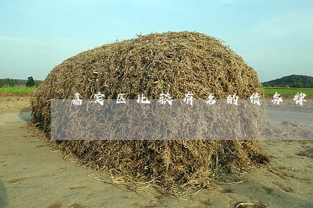 嘉定区比较有名的债务律师 嘉定区比较有名的债务律师
