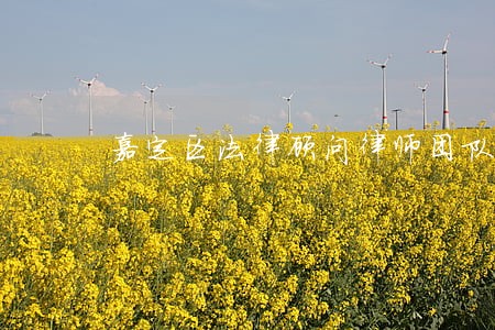 嘉定区法律顾问律师团队 嘉定区法律顾问律师团队