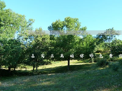 嘉定区离婚律师免费咨询 嘉定区离婚律师免费咨询