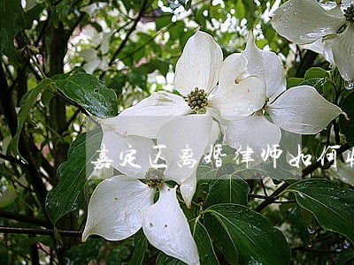 嘉定区离婚律师如何收费 嘉定区离婚律师如何收费