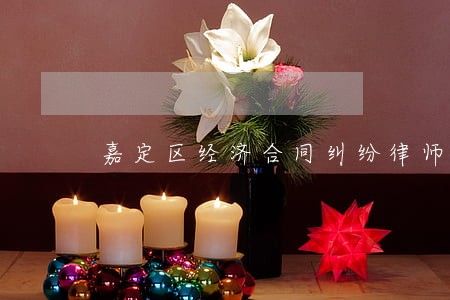嘉定区经济合同纠纷律师咨询