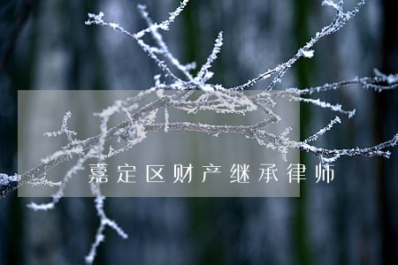 嘉定区财产继承律师 嘉定区财产继承律师