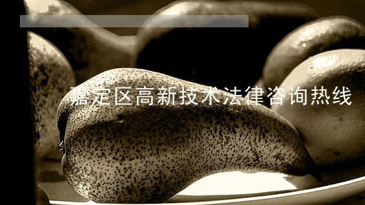 嘉定区高新技术法律咨询热线 嘉定区高新技术法律咨询热线