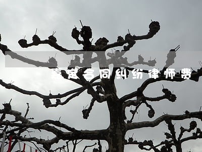 嘉定合同纠纷律师费 嘉定合同纠纷律师费