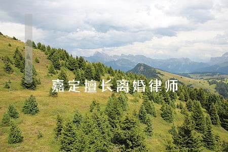 嘉定擅长离婚律师 嘉定擅长离婚律师