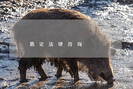 嘉定法律咨询 嘉定法律咨询