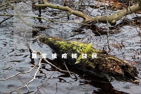 嘉定法院姚益民
