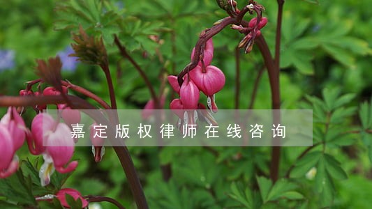 嘉定版权律师在线咨询 嘉定版权律师在线咨询