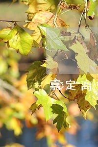 嘉定离婚律师排名前十名 嘉定离婚律师排名前十名