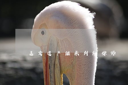 嘉定遗产继承纠纷律师 嘉定遗产继承纠纷律师