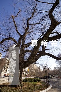 嘉峪关民事债务纠纷律师 嘉峪关民事债务纠纷律师