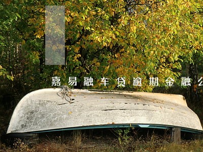 嘉易融车贷逾期金融公司怎么扣车 嘉易融车贷逾期金融公司怎么扣车