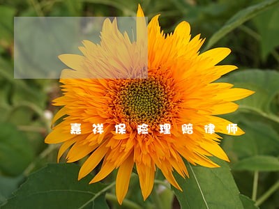嘉祥保险理赔律师 嘉祥保险理赔律师