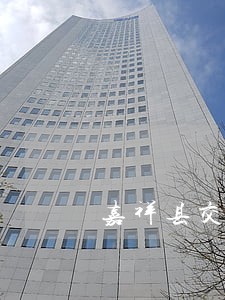 嘉祥县交通违法处理 嘉祥县交通违法处理
