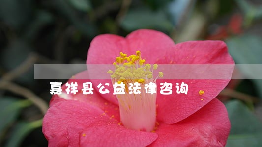 嘉祥县公益法律咨询 嘉祥县公益法律咨询