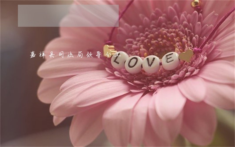 嘉祥县司法局领导分工 嘉祥县司法局领导分工