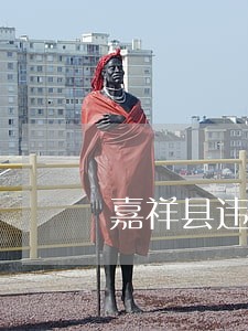 嘉祥县违法占用土地清理 嘉祥县违法占用土地清理