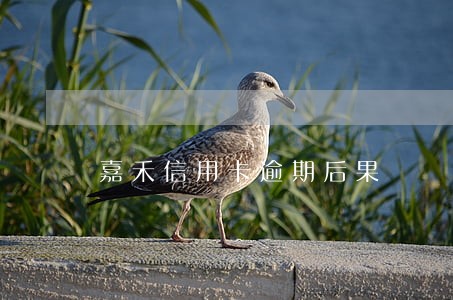 嘉禾信用卡逾期后果 嘉禾信用卡逾期后果