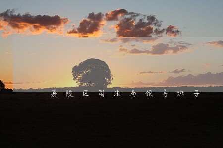 嘉陵区司法局领导班子 嘉陵区司法局领导班子