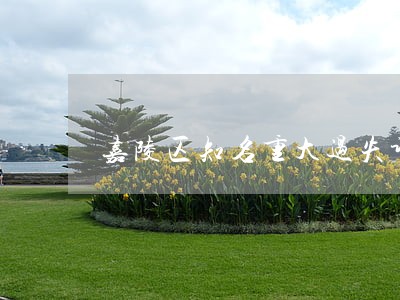 嘉陵区知名重大过失诉讼律师 嘉陵区知名重大过失诉讼律师