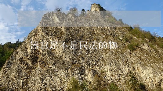 器官是不是民法的物 器官是不是民法的物