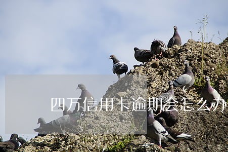 四万信用卡逾期会怎么办 四万信用卡逾期会怎么办