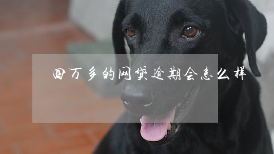 四万多的网贷逾期会怎么样 四万多的网贷逾期会怎么样