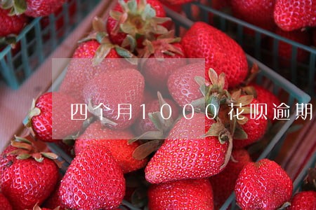 四个月1000花呗逾期 四个月1000花呗逾期