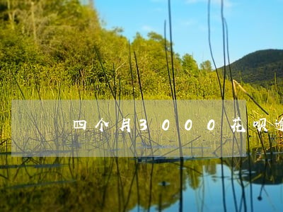 四个月3000花呗逾期 四个月3000花呗逾期