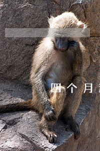 四个月逾期超过90天 四个月逾期超过90天