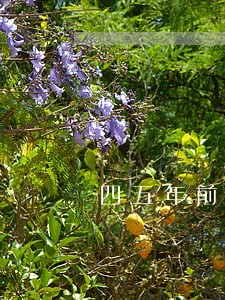 四五年前信用卡逾期较多 四五年前信用卡逾期较多