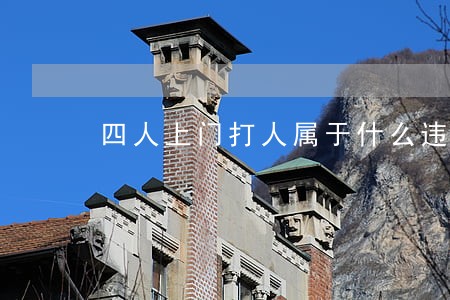 四人上门打人属于什么违法