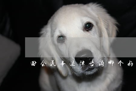 四会民事法律咨询哪个好 四会民事法律咨询哪个好