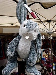 四会陈泳律师 四会陈泳律师