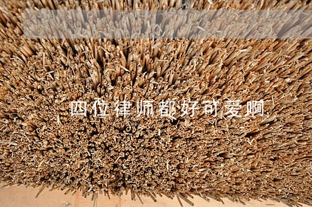 四位律师都好可爱啊 四位律师都好可爱啊