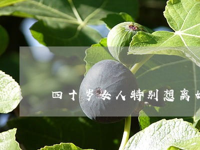 四十岁女人特别想离婚怎么办 四十岁女人特别想离婚怎么办