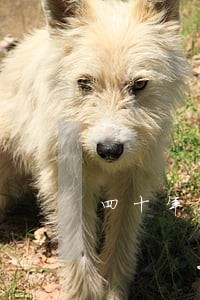 四十年不动刑法指的是什么吗 四十年不动刑法指的是什么吗