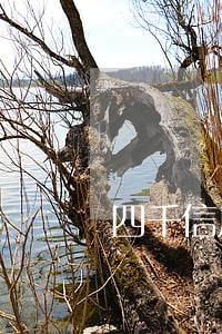 四千信用卡逾期费用 四千信用卡逾期费用