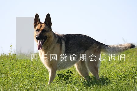 四千网贷逾期会起诉吗 四千网贷逾期会起诉吗