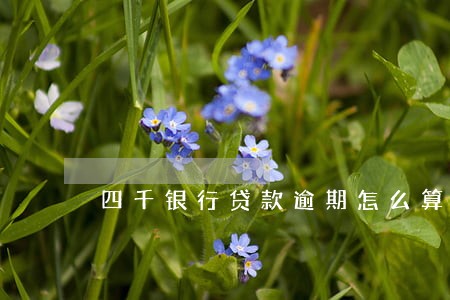 四千银行贷款逾期怎么算 四千银行贷款逾期怎么算