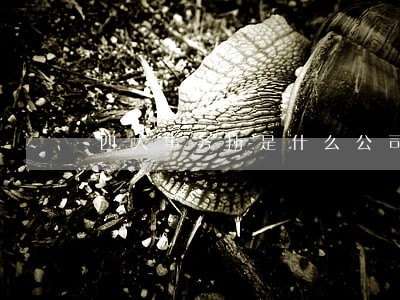 四大事务所是什么公司 四大事务所是什么公司