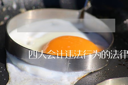 四大会计违法行为的法律责任