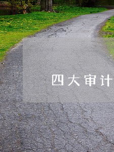 四大审计公司 四大审计公司