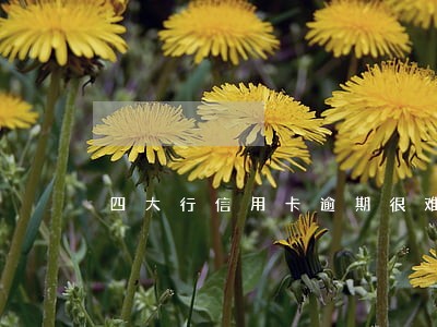 四大行信用卡逾期很难协商