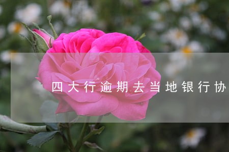 四大行逾期去当地银行协商 四大行逾期去当地银行协商