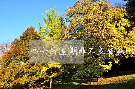 四大行逾期非不良贷款比率