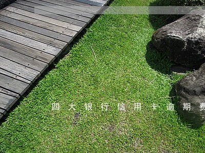 四大银行信用卡逾期费用能减免吗 四大银行信用卡逾期费用能减免吗
