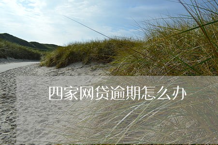 四家网贷逾期怎么办 四家网贷逾期怎么办