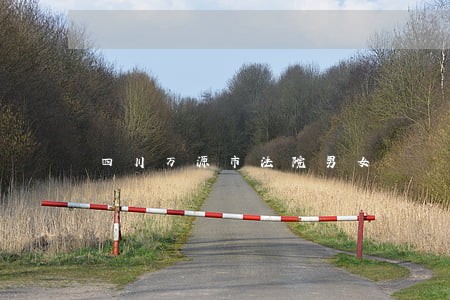 四川万源市法院男女