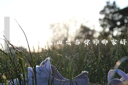 四川乐山债务律师哪家好 四川乐山债务律师哪家好